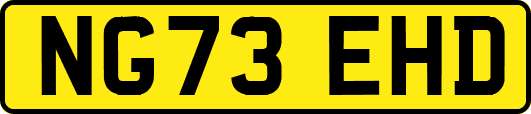 NG73EHD