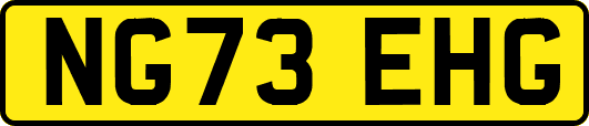 NG73EHG