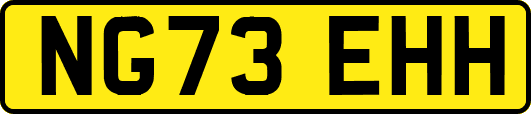 NG73EHH