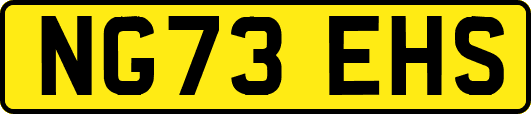 NG73EHS