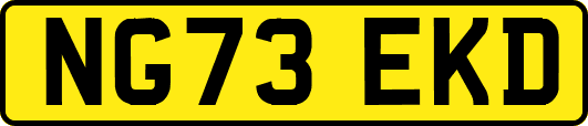 NG73EKD