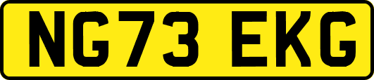 NG73EKG