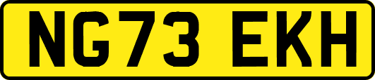 NG73EKH