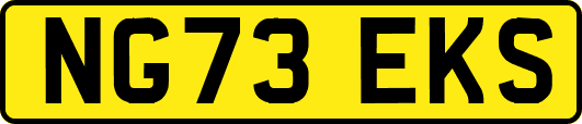 NG73EKS