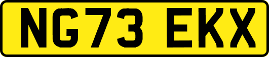 NG73EKX