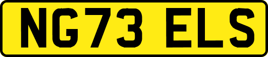 NG73ELS