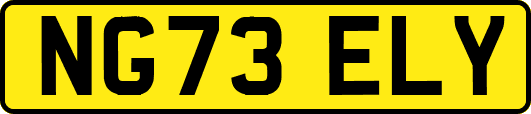 NG73ELY