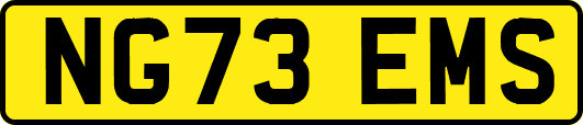 NG73EMS