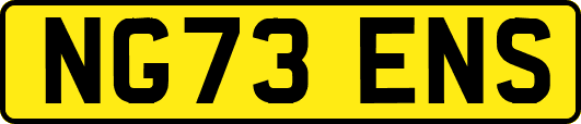 NG73ENS