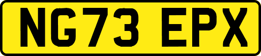 NG73EPX