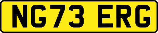 NG73ERG