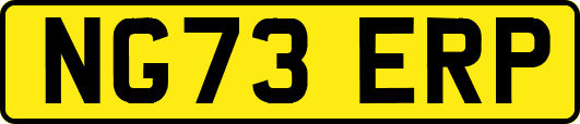 NG73ERP