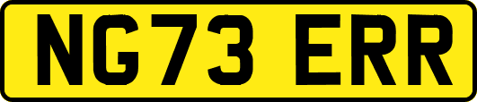 NG73ERR