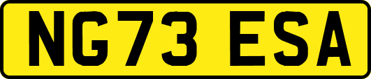 NG73ESA