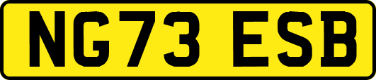 NG73ESB