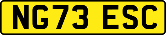 NG73ESC