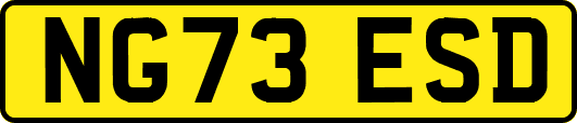 NG73ESD