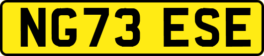 NG73ESE