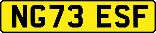 NG73ESF