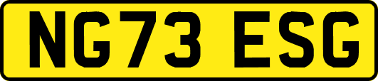 NG73ESG