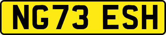 NG73ESH
