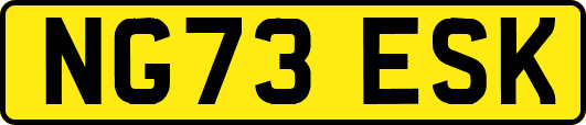 NG73ESK