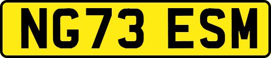 NG73ESM