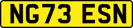 NG73ESN