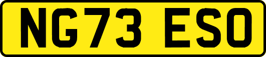 NG73ESO