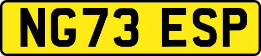 NG73ESP