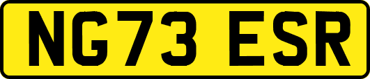 NG73ESR