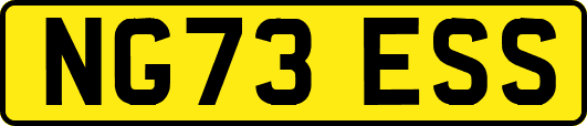NG73ESS