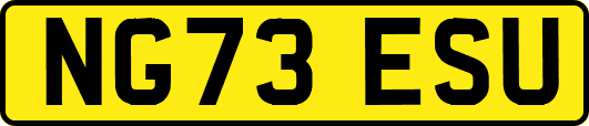NG73ESU
