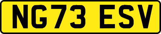 NG73ESV