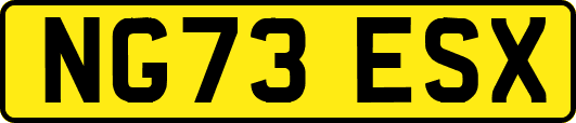 NG73ESX