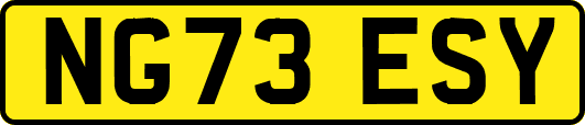 NG73ESY