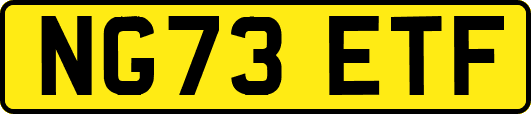 NG73ETF