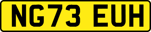 NG73EUH
