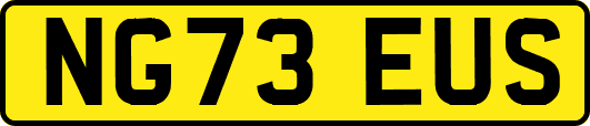 NG73EUS