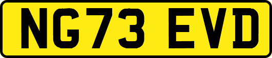 NG73EVD