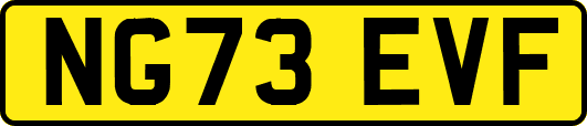 NG73EVF