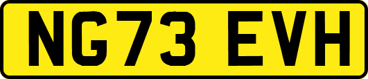 NG73EVH