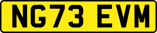 NG73EVM