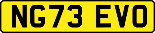 NG73EVO