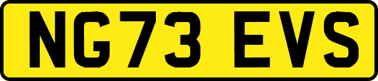 NG73EVS
