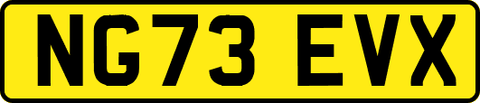 NG73EVX