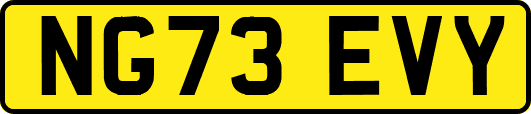 NG73EVY