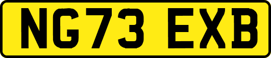 NG73EXB