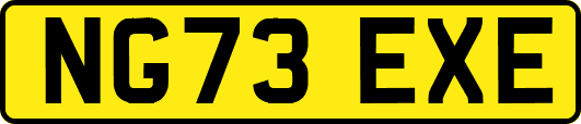 NG73EXE