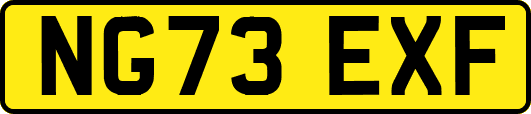 NG73EXF